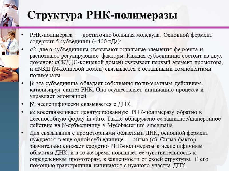 Структура РНК-полимеразы РНК-полимераза — достаточно большая молекула. Основной фермент содержит 5 субъединиц (~400 кДа):
